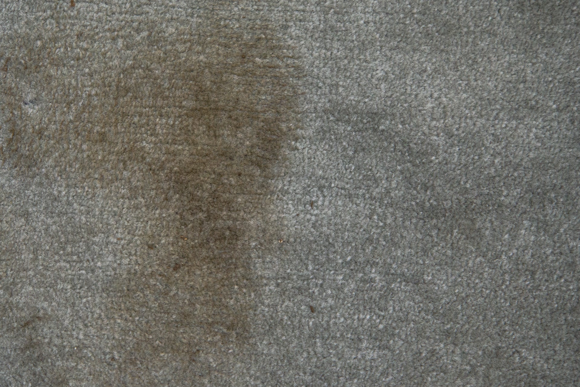 Una mancha de barro en una alfombra