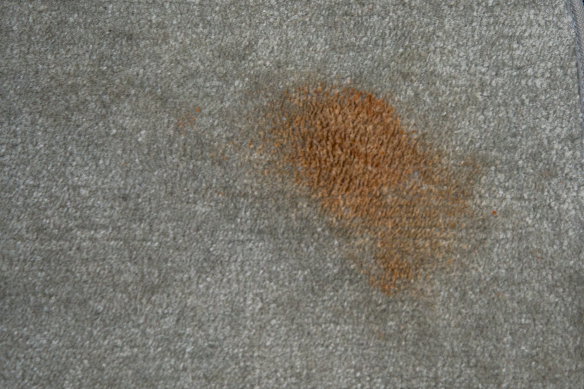 Una mancha de salsa de tomate en una alfombra