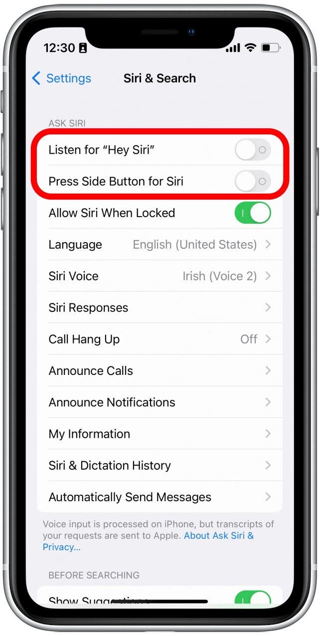 Si los interruptores son grises, eso significa que Siri está deshabilitado.  Toca uno o ambos para que se vuelvan verdes y activen Siri.