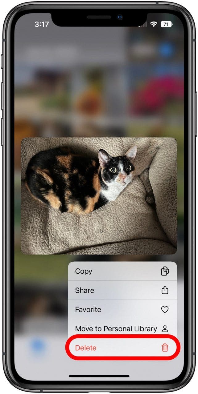 Aplicación de fotos con el menú de pulsación larga abierto para una foto de un gato en la Biblioteca compartida.  La opción Eliminar está marcada.