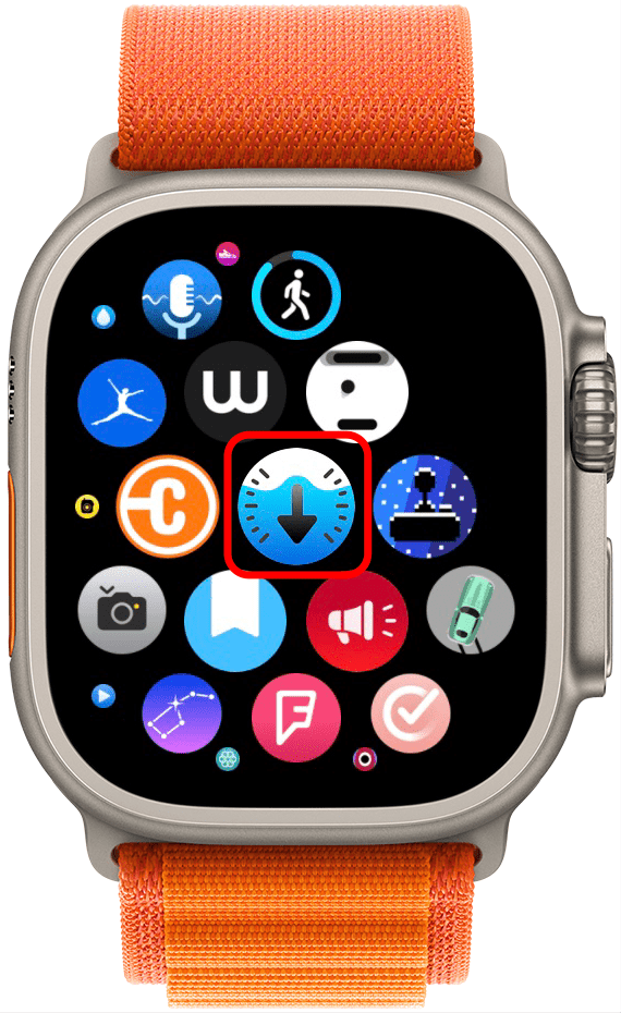 Si toca la aplicación Profundidad desde su pantalla de inicio, se le pedirá que sumerja su Apple Watch.