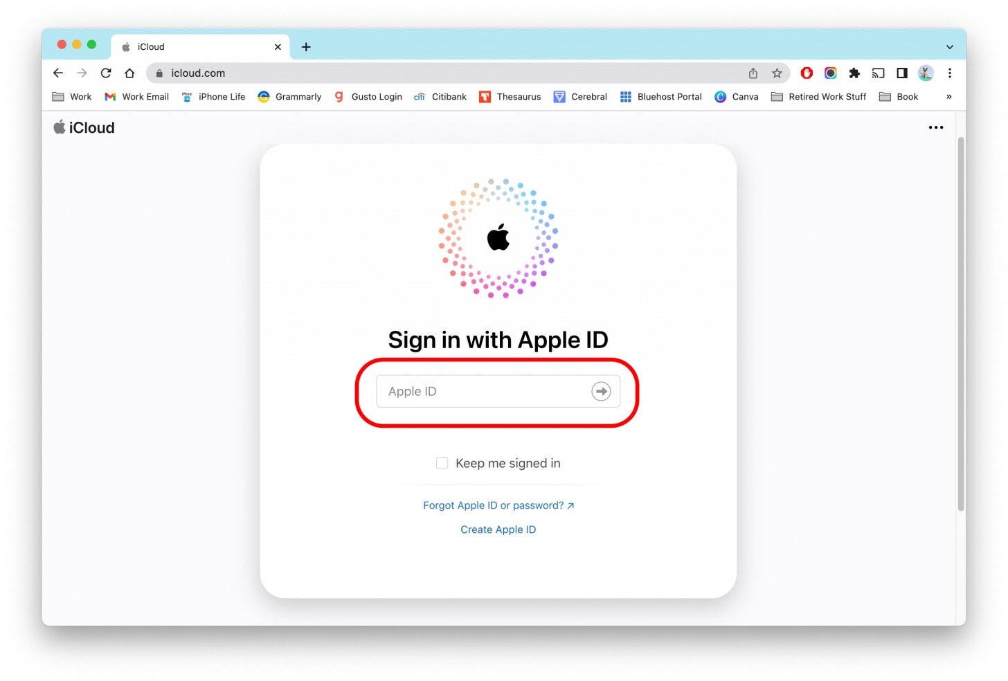 Inicie sesión con su ID de Apple.