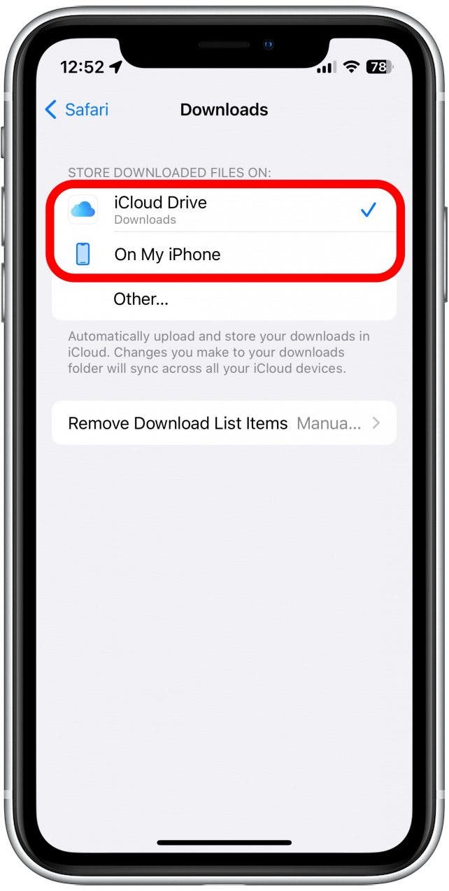Aquí, puede elegir almacenar su carpeta de Descargas en su iPhone o en iCloud Drive.