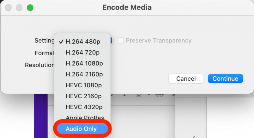 Haga clic en Solo audio.  Esta es la función de extractor de sonido. 
