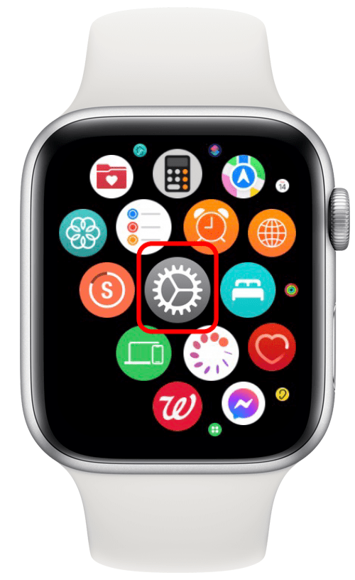 toca la aplicación de configuración en el Apple Watch