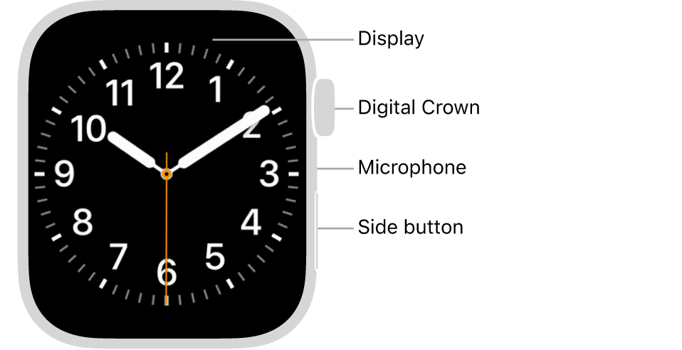 Intente usar Force Restart en su Apple Watch