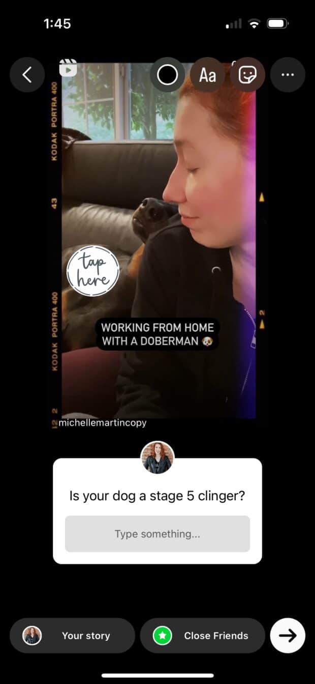texto, GIF, pegatinas de Instagram a la historia sobre doberman pinscher