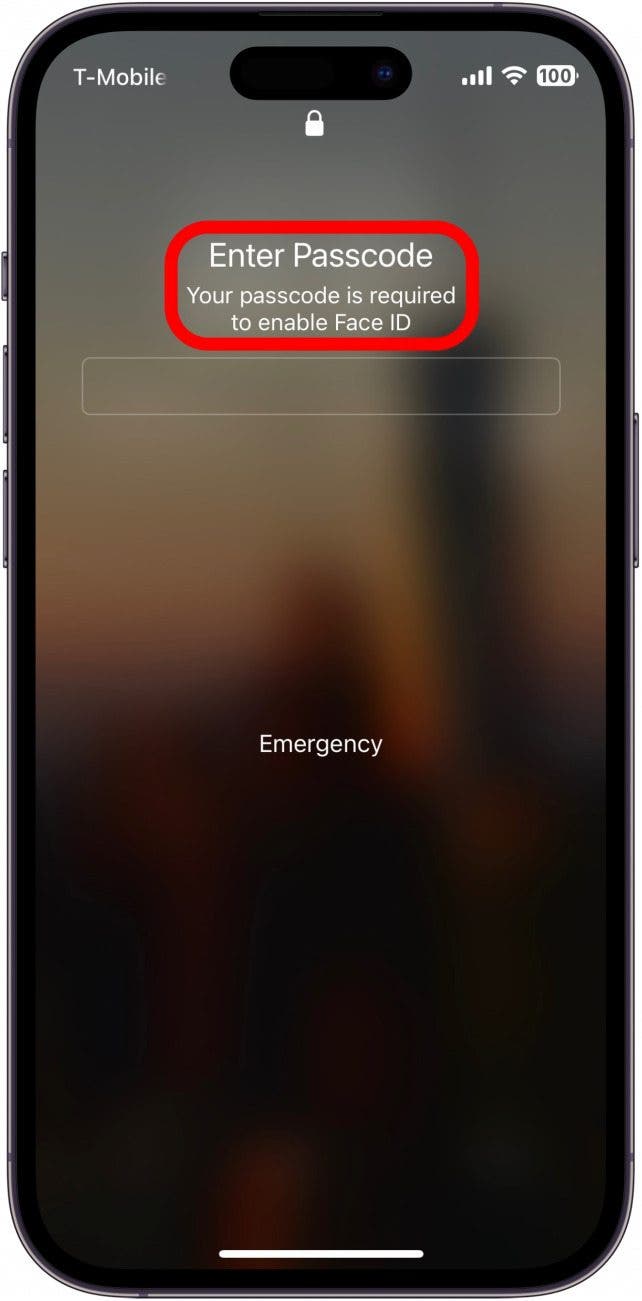 Si intenta desbloquear el dispositivo, verá un mensaje que dice Se requiere su contraseña para habilitar Face ID.