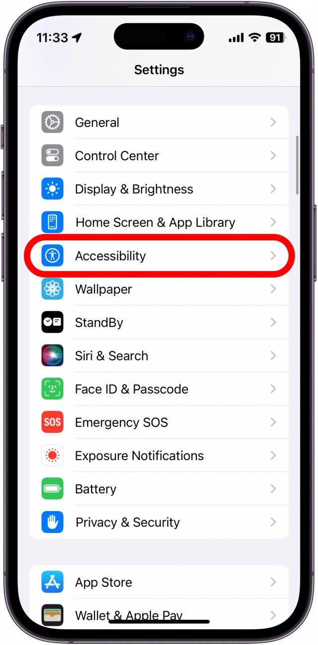 Captura de pantalla de la configuración del iPhone con accesibilidad en un círculo rojo