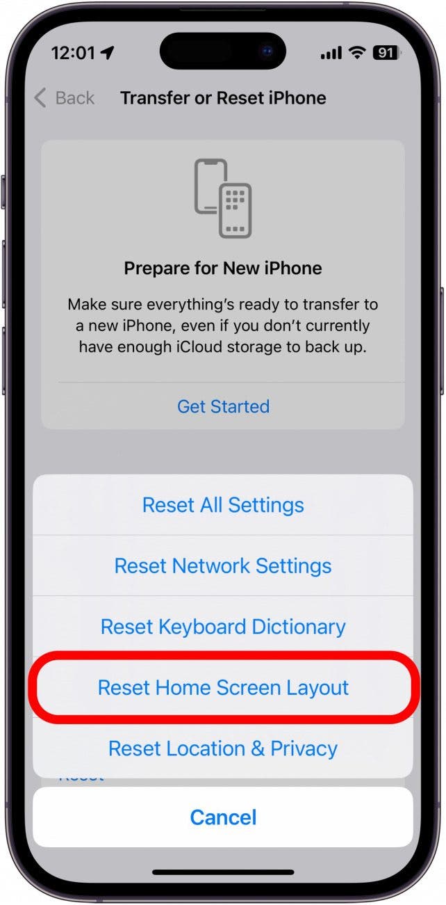 captura de pantalla de las opciones de reinicio del iPhone con el diseño de la pantalla de inicio de reinicio en un círculo rojo