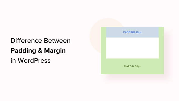Relleno vs margen ¿cual es la diferencia en WordPress