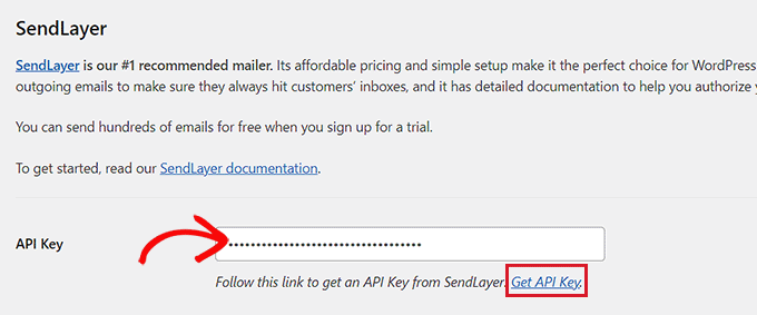 Agregue la clave API de SendLayer