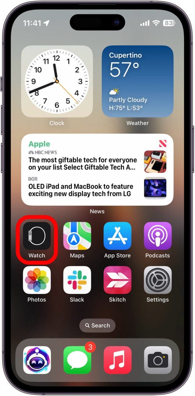 pantalla de inicio del iPhone con la aplicación de reloj en un círculo rojo