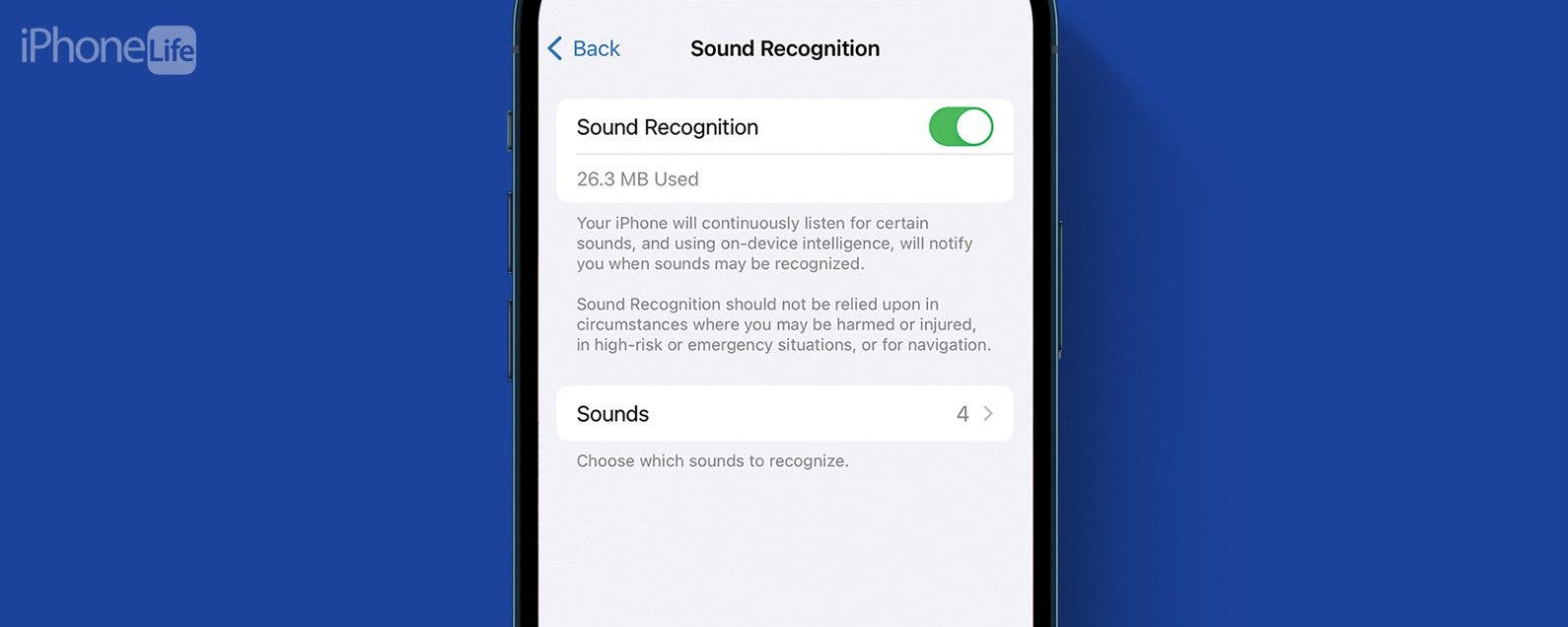 Corregido los mensajes de audio no funcionan en iPhone iOS
