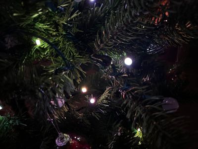 luces de festavia de tono en el árbol