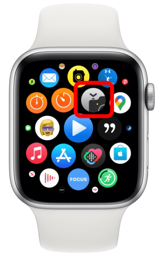 Toca la aplicación Cámara para tomar fotos con tu Apple Watch