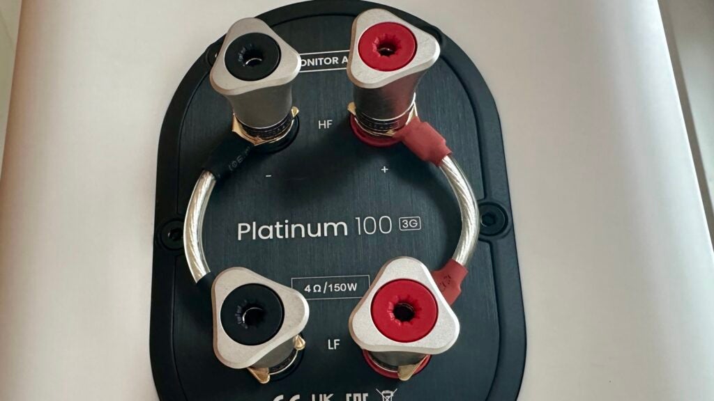 Puertos de enlace Monitor Audio Platinum 100 3G