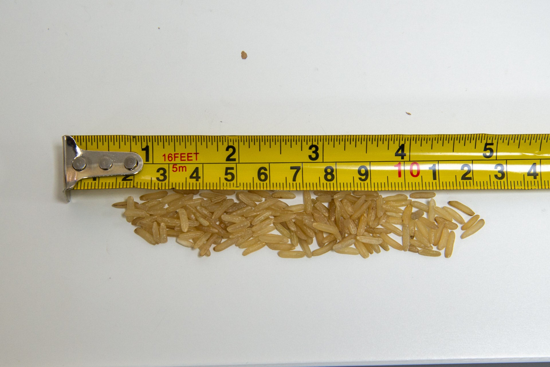 Final de la prueba de succión de arroz Ultenic U12 Vesla