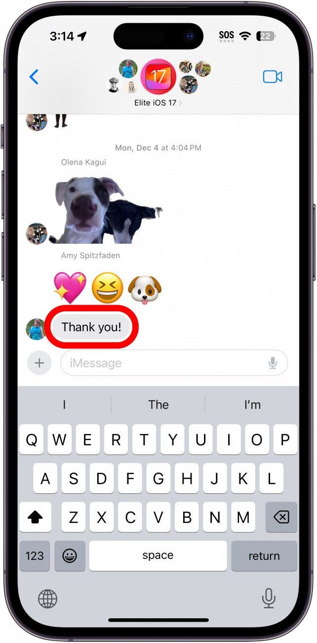 conversación de mensaje de iPhone con un círculo rojo alrededor del mensaje que indica que se debe mantener presionado