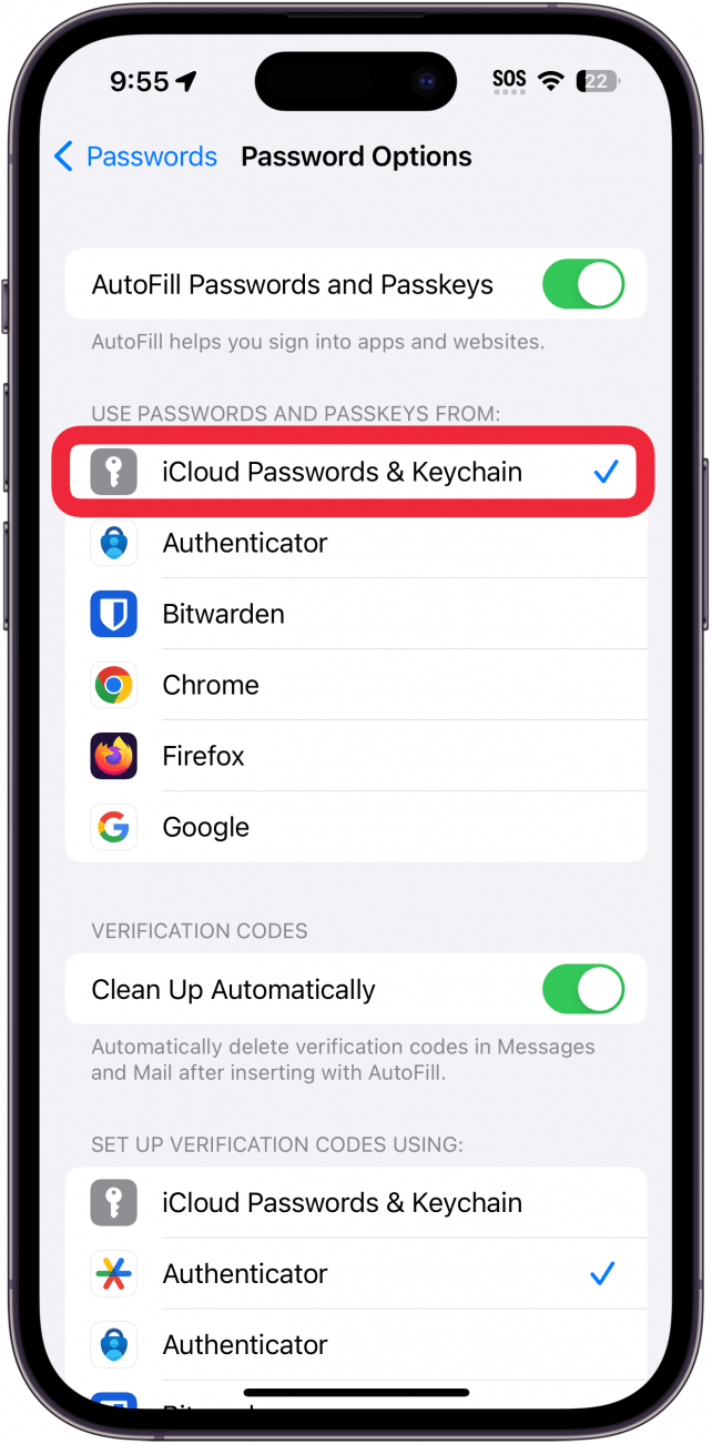 Opciones de contraseña de iPhone con alternancia de contraseñas y llavero de iCloud en un círculo rojo