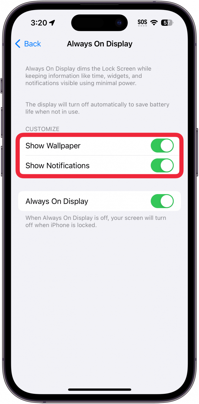 iPhone siempre en la configuración de pantalla con un cuadro rojo alrededor de mostrar fondo de pantalla y mostrar notificaciones alternadas