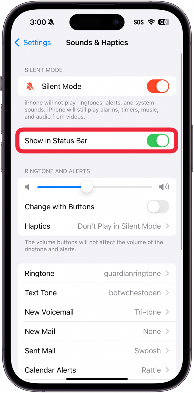 Configuración de sonidos y tacto del iPhone con un cuadro rojo alrededor de mostrar en la barra de estado alternar