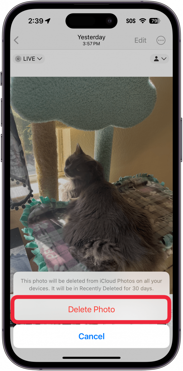 aplicación de fotos de iPhone que muestra una foto con una ventana emergente de confirmación de eliminación y un cuadro rojo alrededor del botón de eliminar foto