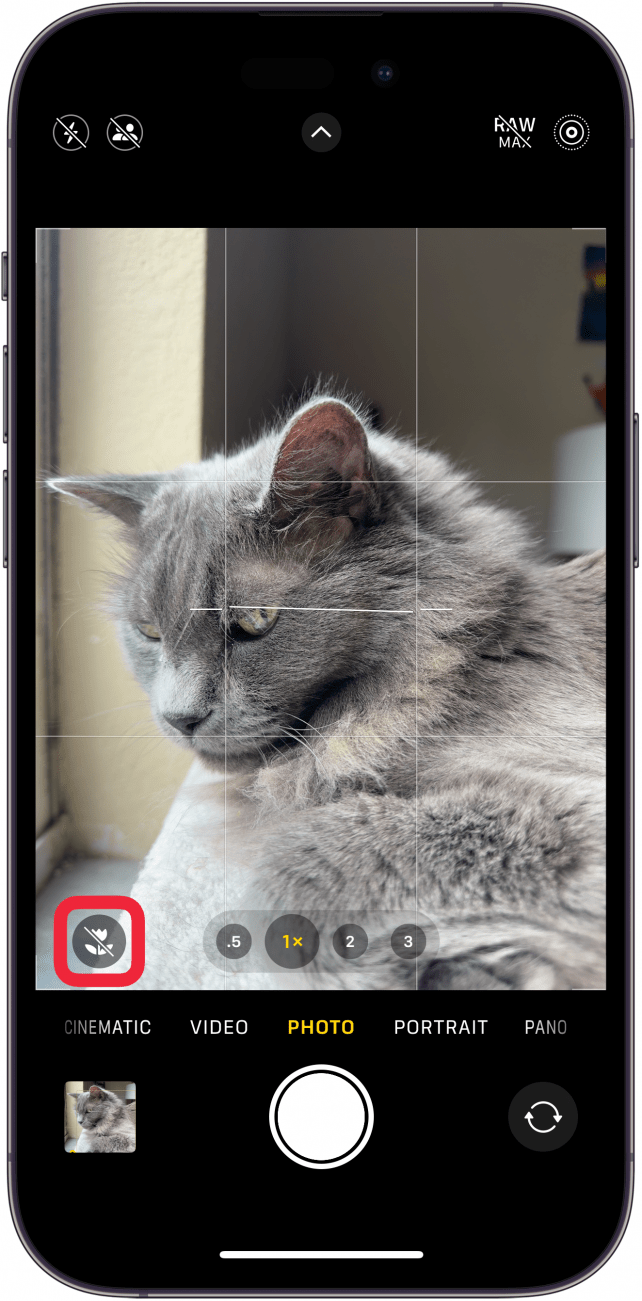 aplicación de cámara para iPhone que muestra un ícono de flor gris con una barra diagonal y un cuadro rojo alrededor