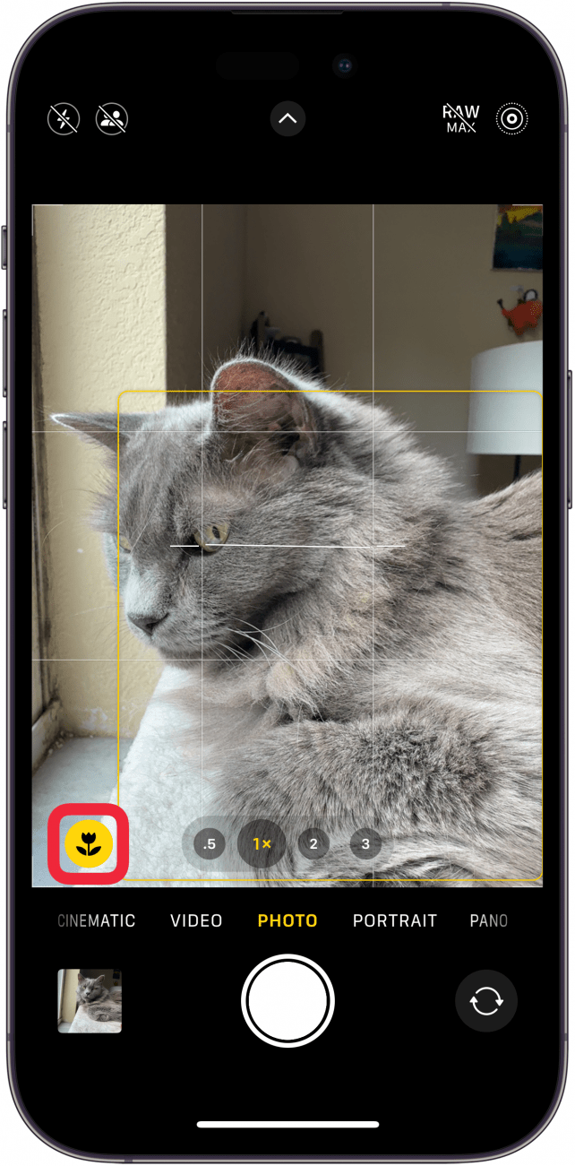 aplicación de cámara para iPhone que muestra un ícono de flor amarilla con un cuadro rojo alrededor