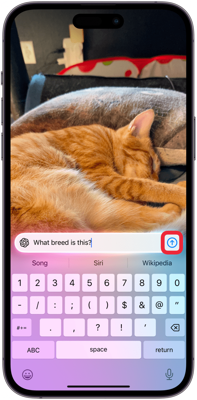 Escriba una pregunta o comuníquese con ChatGPT sobre la fotografía, toque el ícono de flecha hacia arriba para enviar su solicitud.