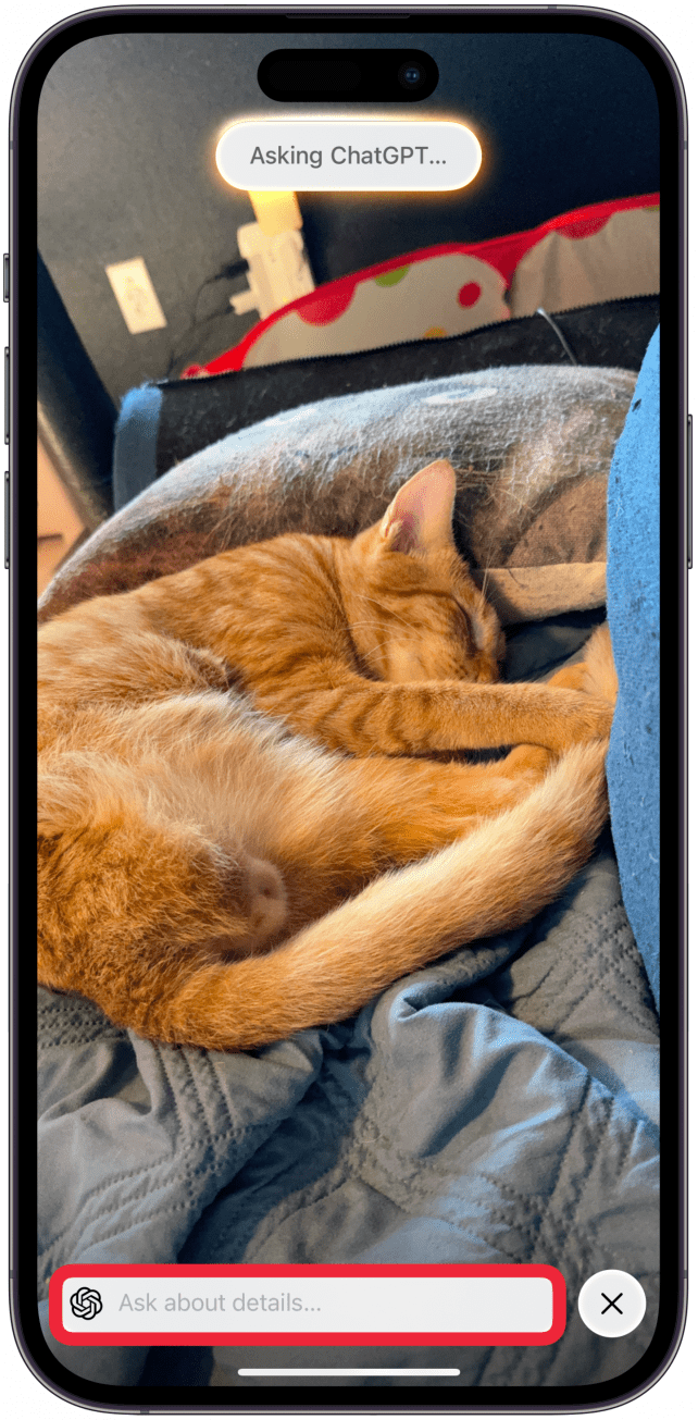 Presiona el campo Texto.