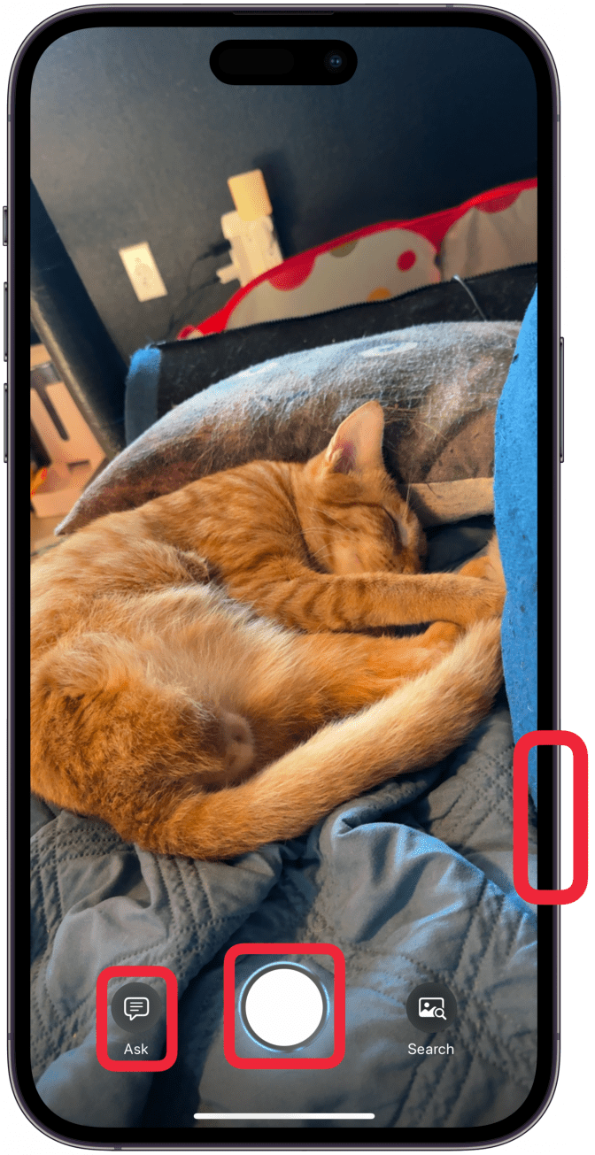Una vez que vea lo que desea investigar en su pantalla, toque el ícono del obturador, presione el botón Control de cámara o toque Preguntar.