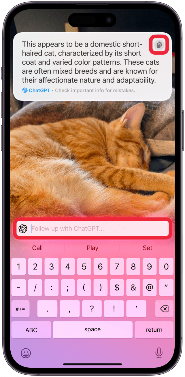Puede tocar el ícono de copiar para copiar el texto generado o seguir haciendo más preguntas para generar más información o información diferente.
