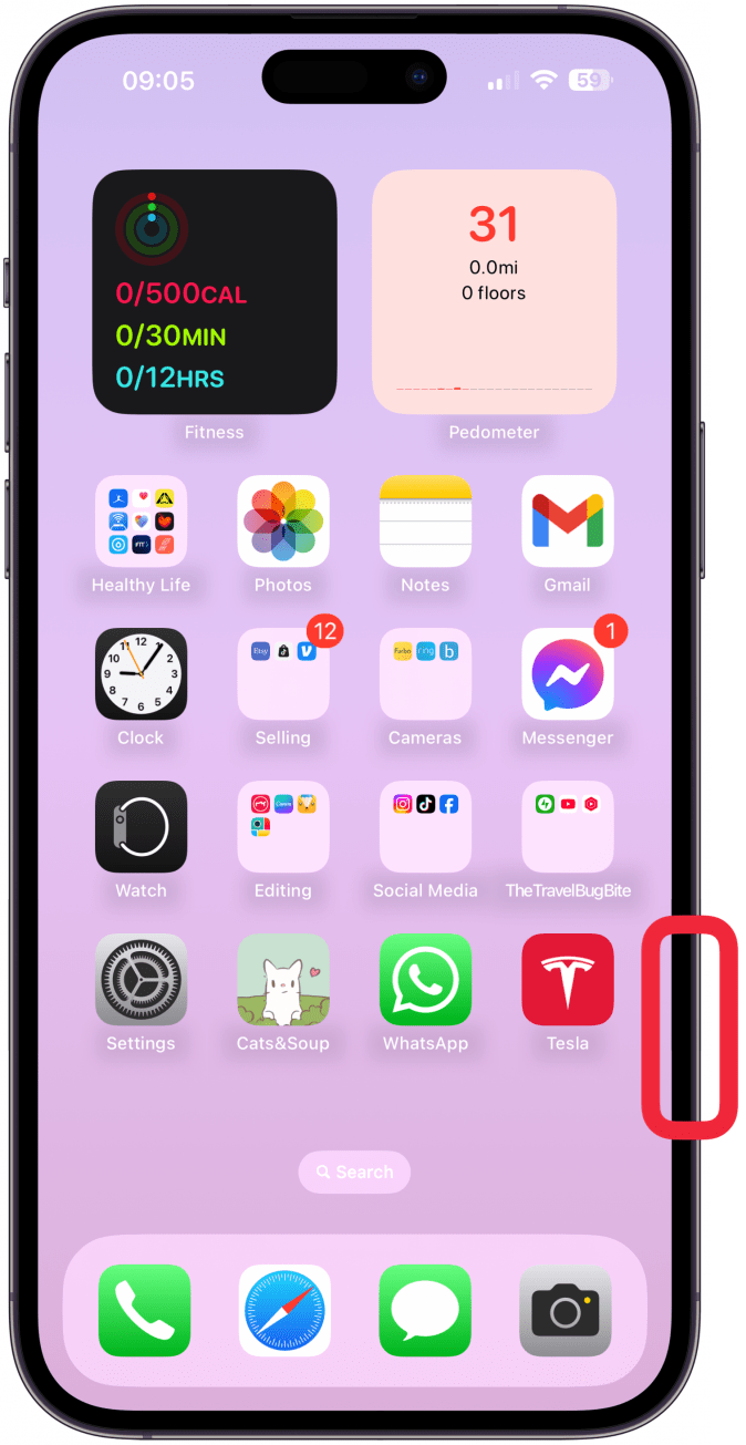 Mientras sostiene su iPhone verticalmente, no horizontalmente, presione y mantenga presionado el botón Control de cámara hasta que aparezca la vista de Inteligencia Visual.
