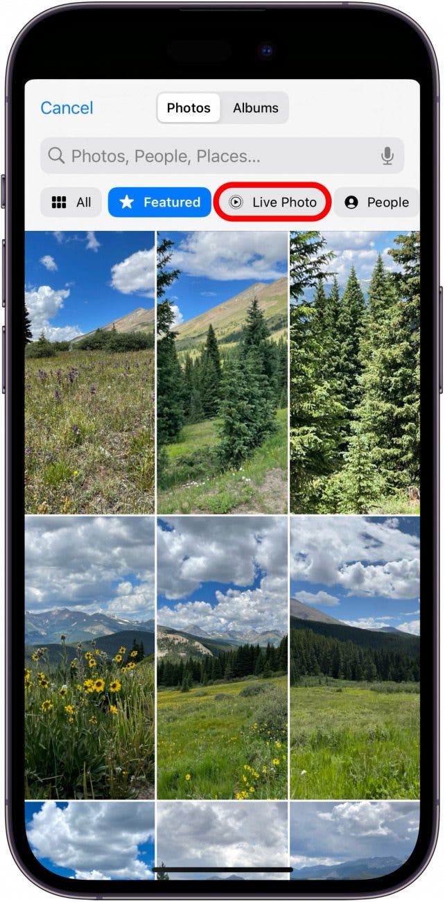 Cómo poner un fondo de pantalla en vivo en iPhone